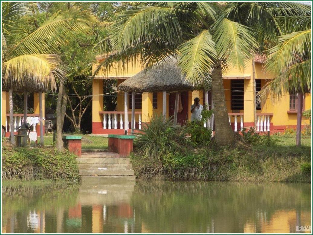 Tarangamala Resort ماندارموني المظهر الخارجي الصورة